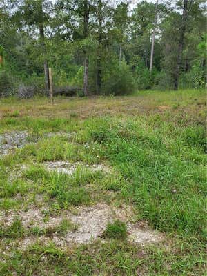 0 ROBERTS ROAD, CHUNCHULA, AL 36521 - Image 1