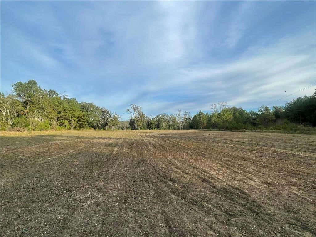 0 HIGHWAY 45, CHUNCHULA, AL 36521, photo 1 of 11