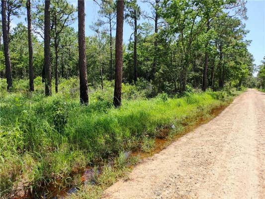 000 JOHNSON ROAD, CODEN, AL 36523, photo 2 of 16