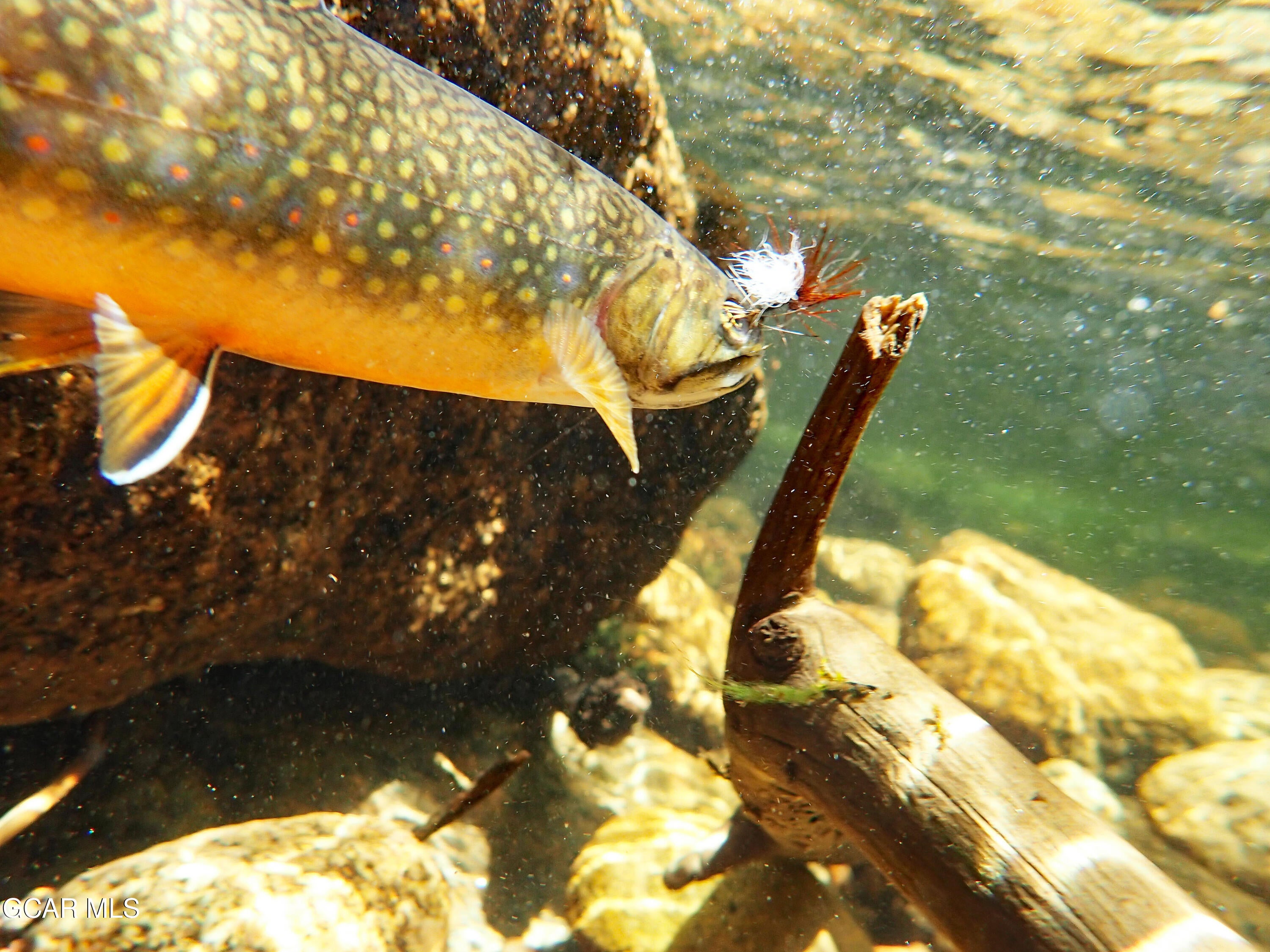 Fraser, Colorado, 80442, United States, 4 Bedrooms Bedrooms, ,4 BathroomsBathrooms,Residential,Active,2007138