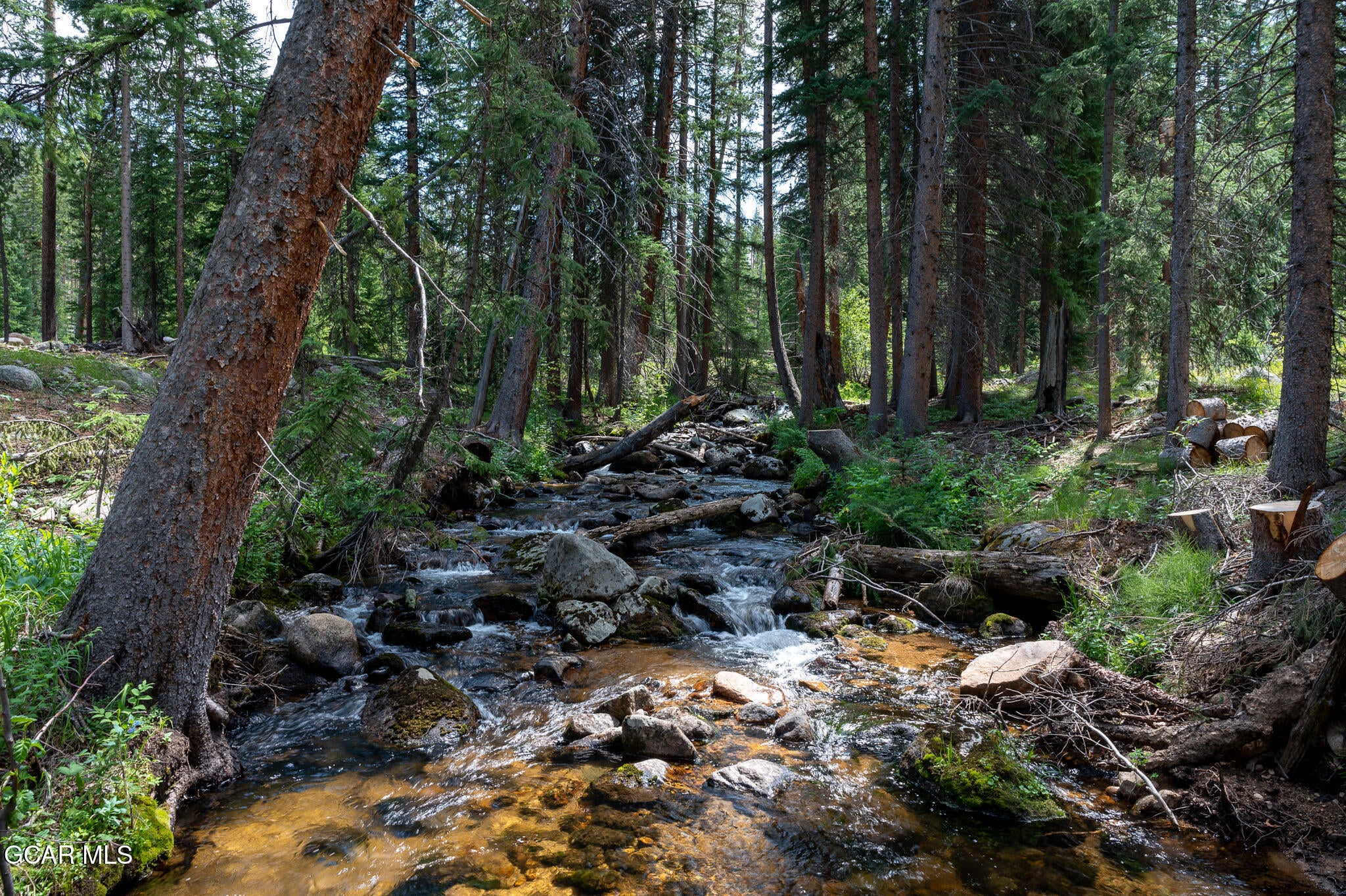 Fraser, Colorado, 80442, United States, 4 Bedrooms Bedrooms, ,4 BathroomsBathrooms,Residential,Active,2007138