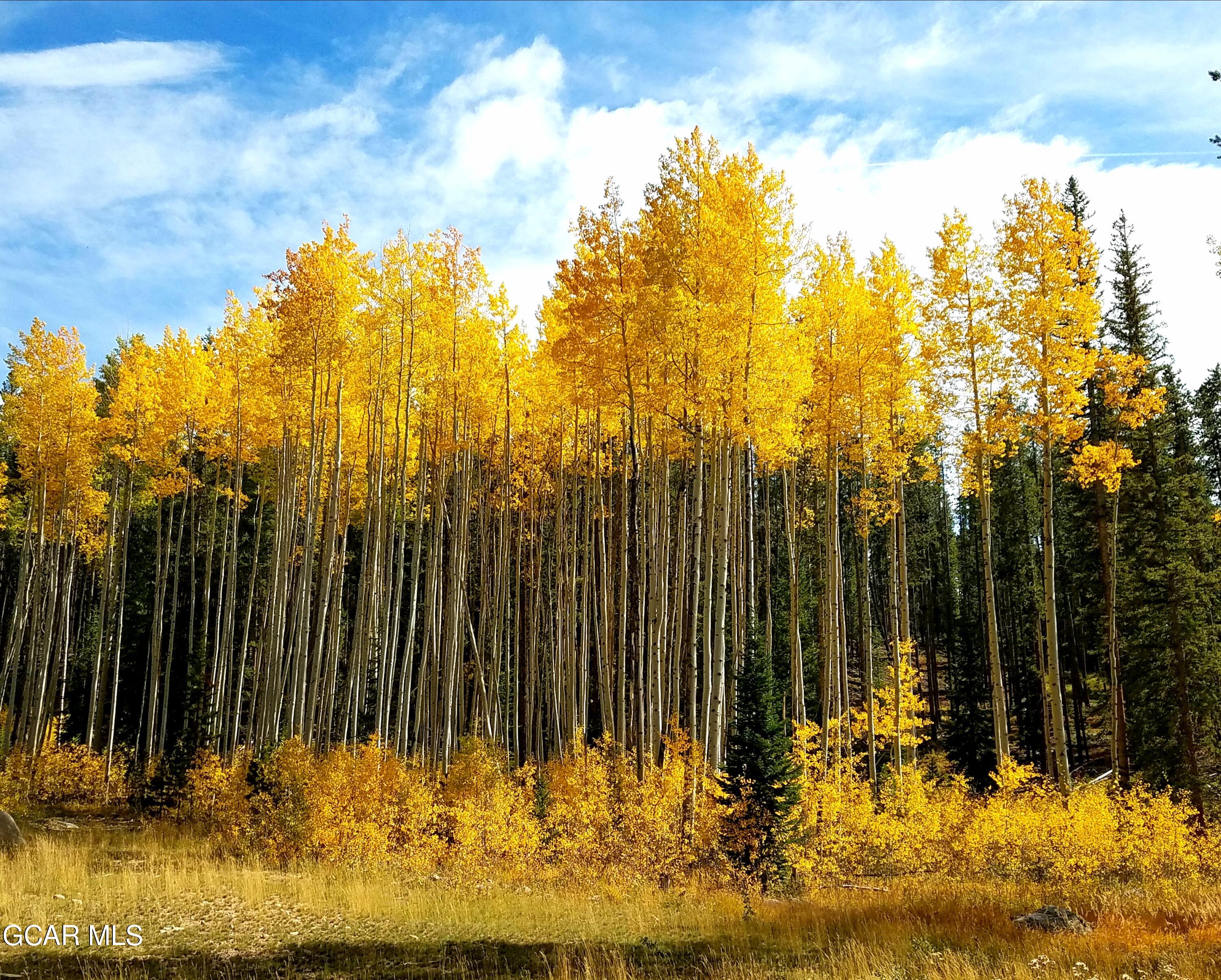 Fraser, Colorado, 80442, United States, 4 Bedrooms Bedrooms, ,4 BathroomsBathrooms,Residential,Active,2007138