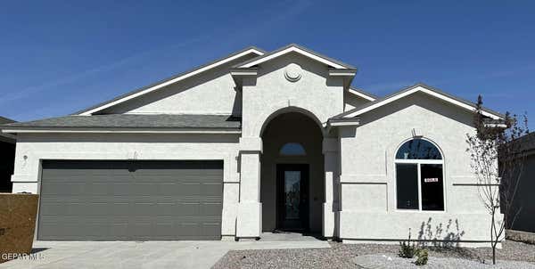 141 ESTHER TRL, SANTA TERESA, NM 88008 - Image 1