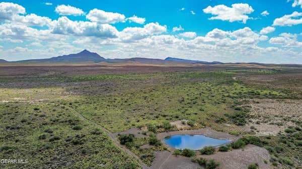 8194 ACRES RANCH ROAD, DELL CITY, TX 79837 - Image 1