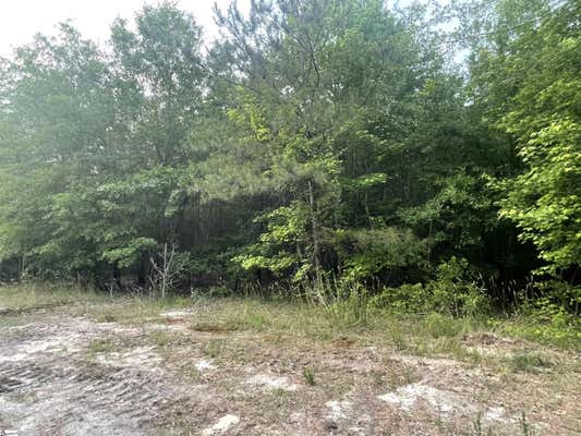 00 RIDGE ROAD # LOT 3, HODGES, SC 29653 - Image 1