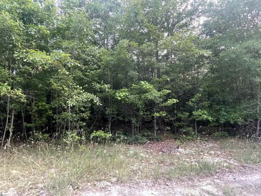 00 CONNER ROAD # LOT 8, HODGES, SC 29653 - Image 1