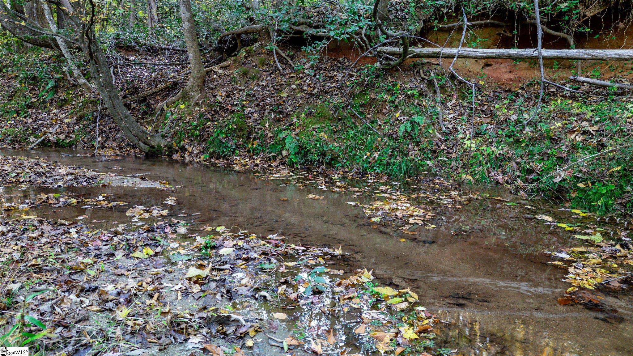 Woodruff, South Carolina, 29388, United States, 4 Bedrooms Bedrooms, ,2 BathroomsBathrooms,Residential,Active,2010566