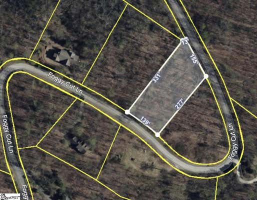 52 FOGGY CUT LN, LANDRUM, SC 29356 - Image 1