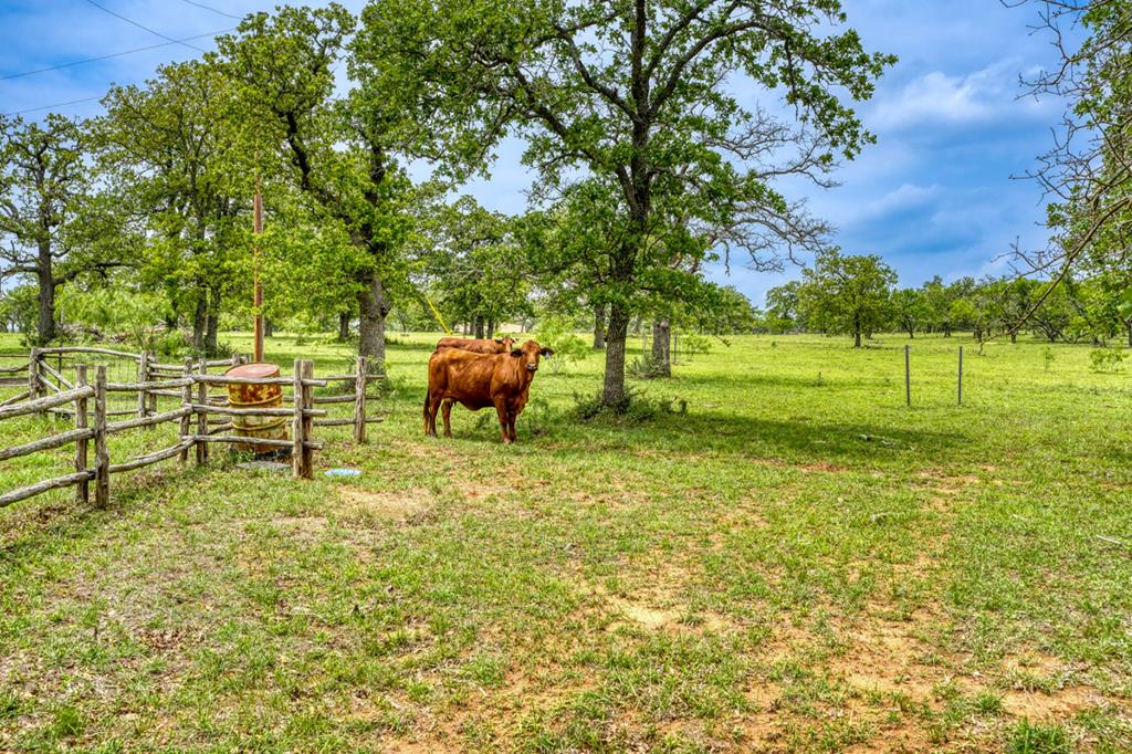 Fredericksburg, Texas, 78624, United States, 3 Bedrooms Bedrooms, ,3 BathroomsBathrooms,Residential,Active,1741666