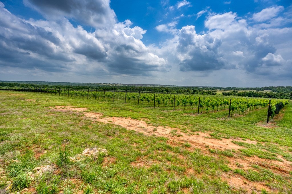 Fredericksburg, Texas, 78624, United States, 3 Bedrooms Bedrooms, ,3 BathroomsBathrooms,Residential,Active,1741666