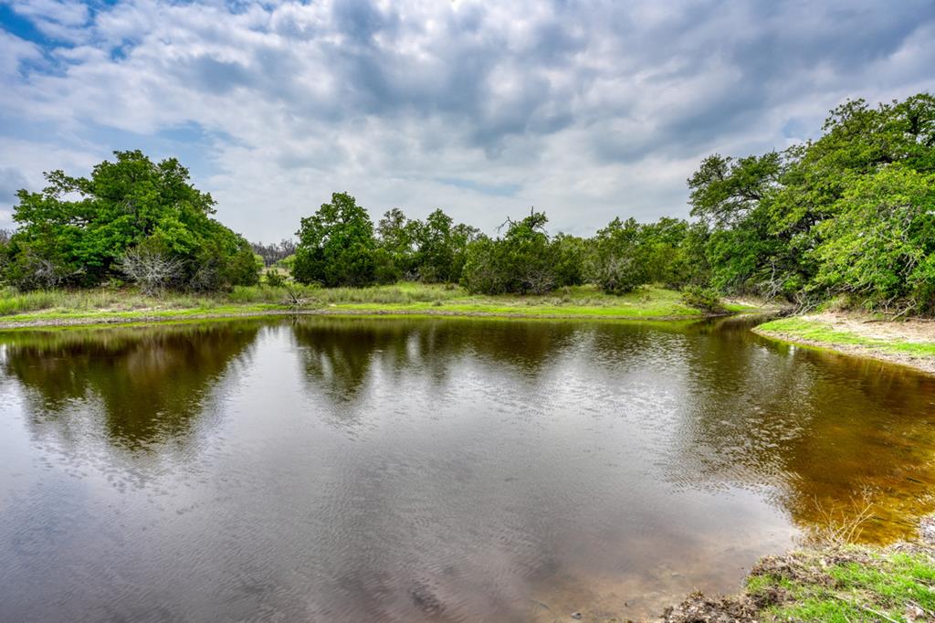 Fredericksburg, Texas, 78624, United States, 3 Bedrooms Bedrooms, ,3 BathroomsBathrooms,Residential,Active,1741666