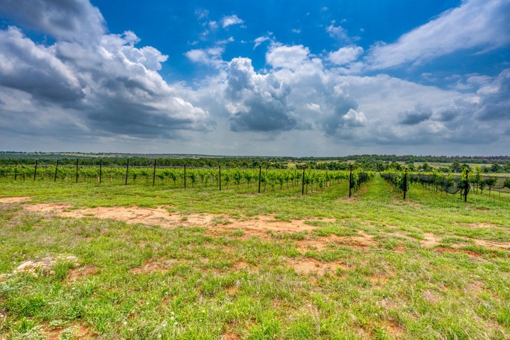 Fredericksburg, Texas, 78624, United States, 3 Bedrooms Bedrooms, ,3 BathroomsBathrooms,Residential,Active,1741666