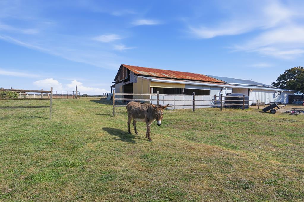Blanco, Texas, 78606, United States, 3 Bedrooms Bedrooms, ,4 BathroomsBathrooms,Residential,Active,2017094