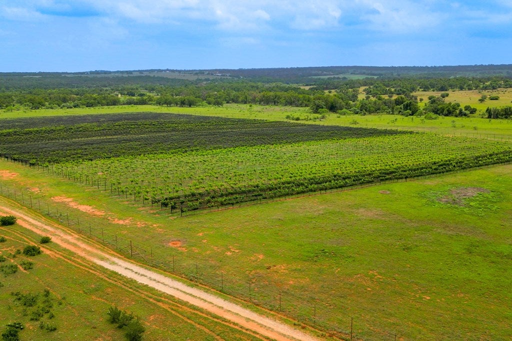 Fredericksburg, Texas, 78624, United States, 3 Bedrooms Bedrooms, ,3 BathroomsBathrooms,Residential,Active,1741666