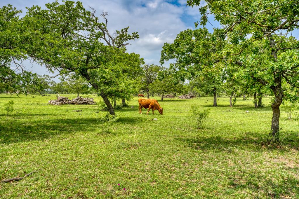 Fredericksburg, Texas, 78624, United States, 3 Bedrooms Bedrooms, ,3 BathroomsBathrooms,Residential,Active,1741666