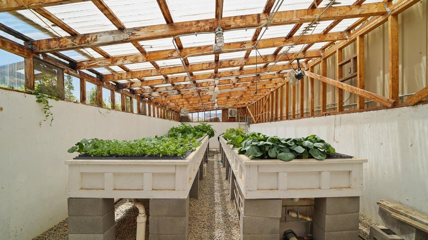 Palisade, Colorado, 81526, United States, 3 Bedrooms Bedrooms, ,1 BathroomBathrooms,Residential,Active,2008709