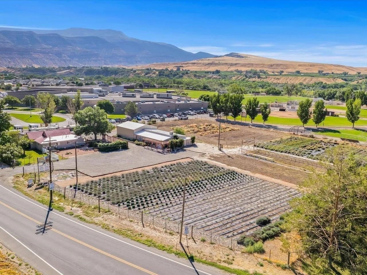 Palisade, Colorado, 81526, United States, 3 Bedrooms Bedrooms, ,1 BathroomBathrooms,Residential,Active,2008709