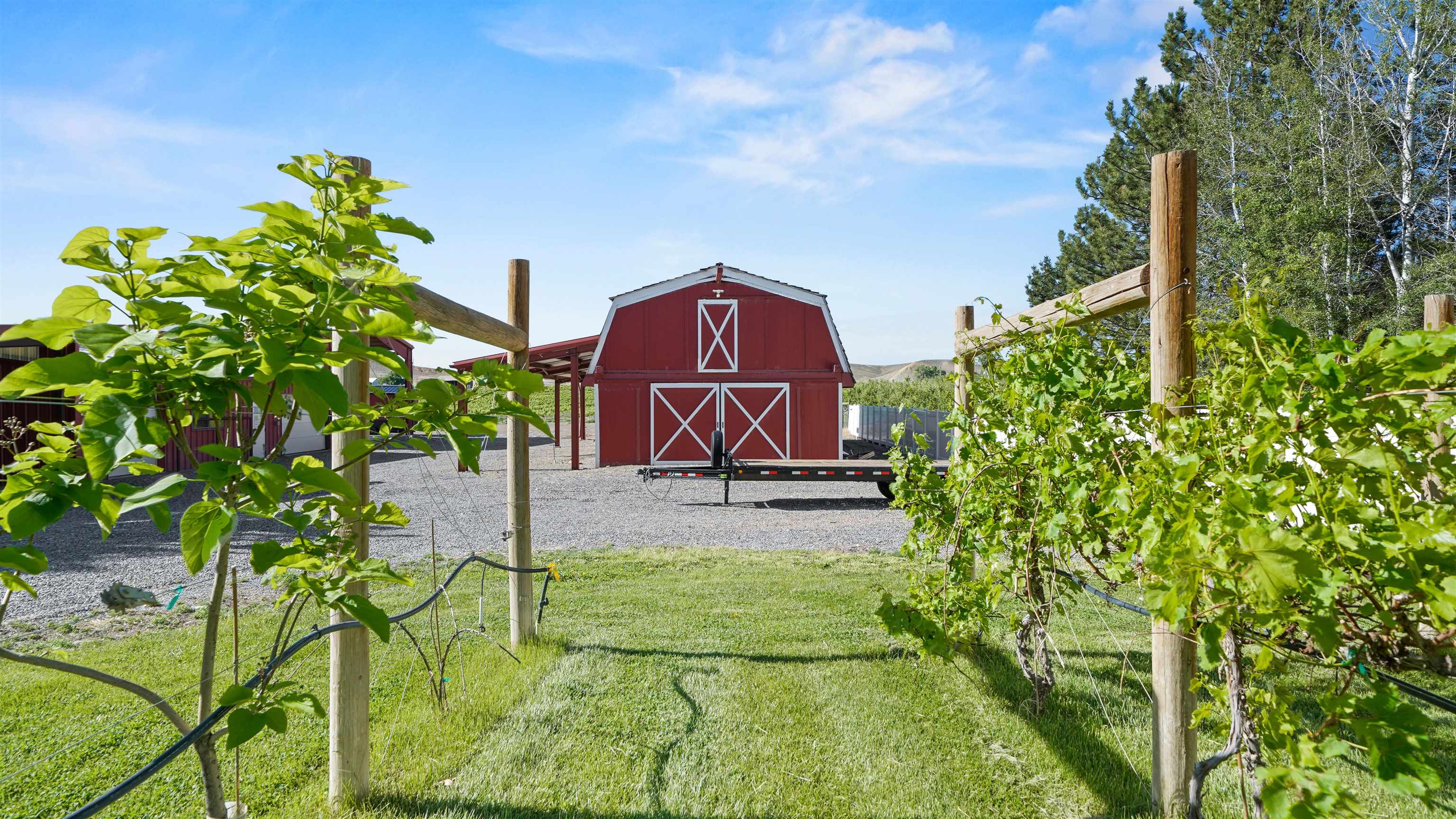 Palisade, Colorado, 81526, United States, 5 Bedrooms Bedrooms, ,5 BathroomsBathrooms,Residential,Active,2008295