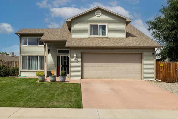 256 SARGENT CIR, FRUITA, CO 81521 - Image 1