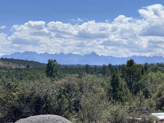 450 BARNES POINT DR, MONTROSE, CO 81403, photo 3 of 20