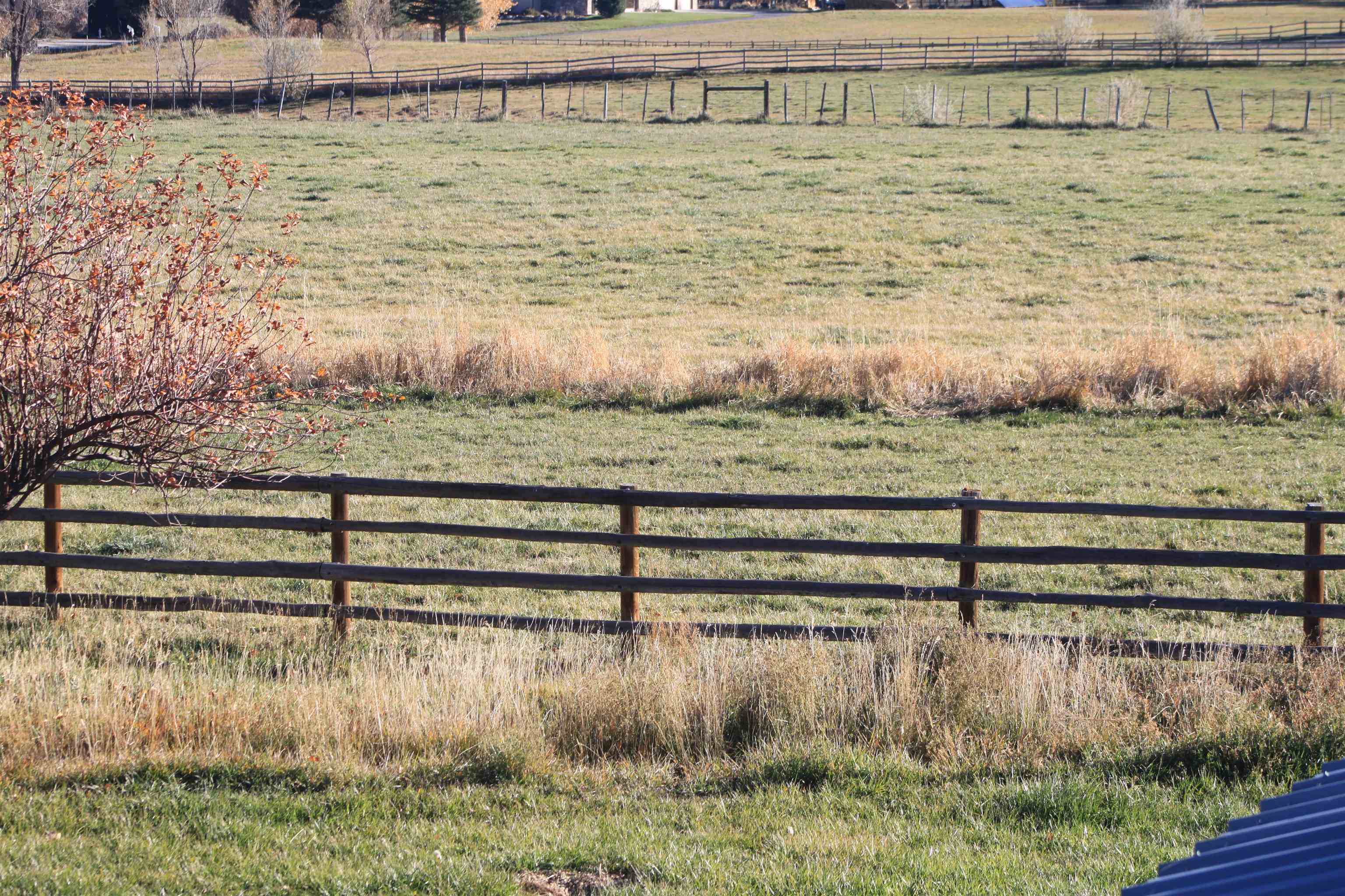 Mesa, Colorado, 81643, United States, 3 Bedrooms Bedrooms, ,3 BathroomsBathrooms,Residential,Active,2000197