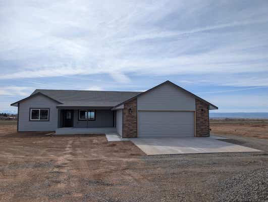 20194 LILAC CT, ECKERT, CO 81418, photo 1 of 18