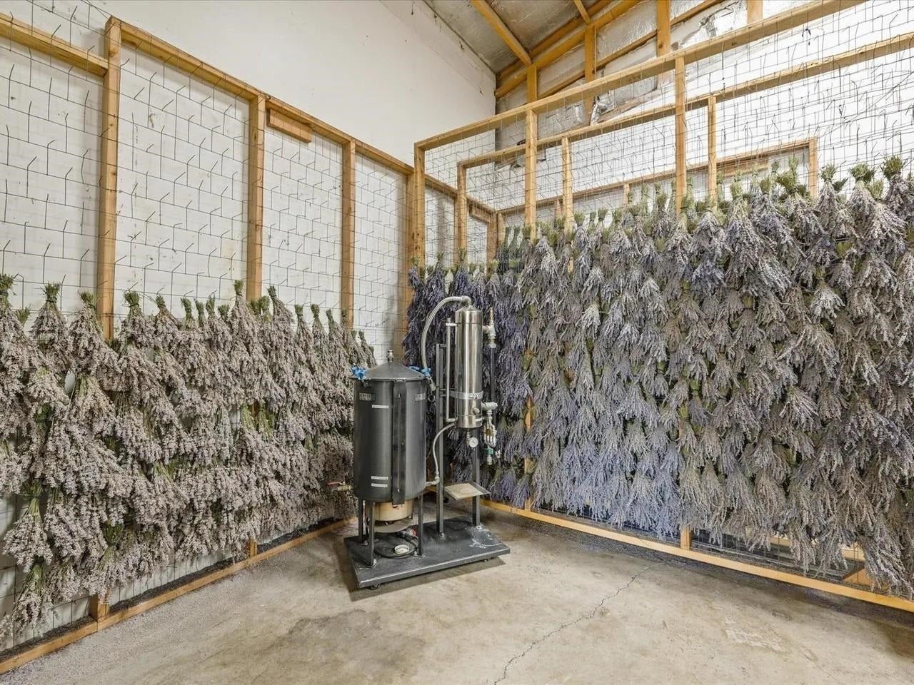 Palisade, Colorado, 81526, United States, 3 Bedrooms Bedrooms, ,1 BathroomBathrooms,Residential,Active,2008709