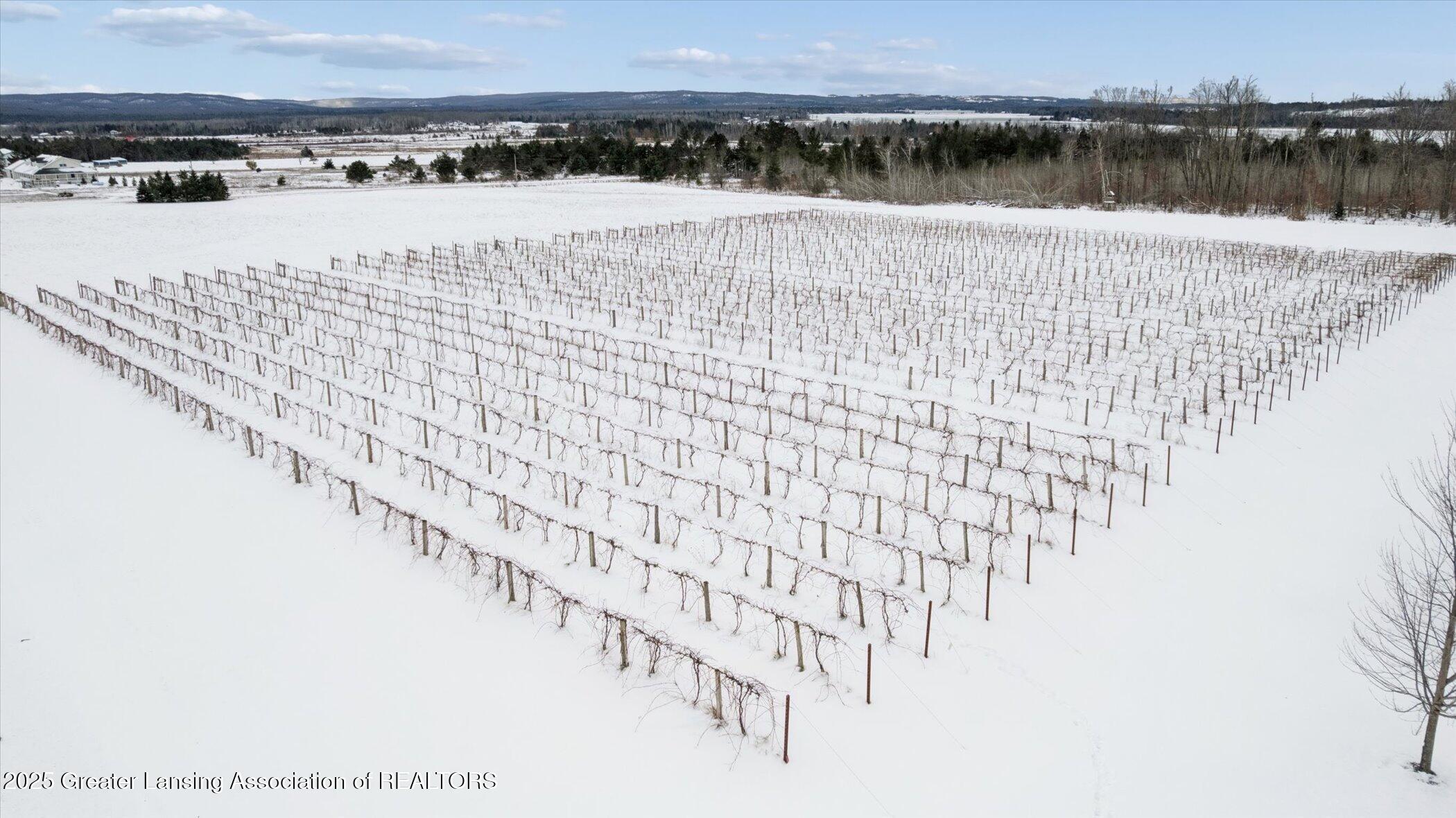 Alanson, Michigan, 49706, United States, 2 Bedrooms Bedrooms, ,2 BathroomsBathrooms,Residential,Active,2007033