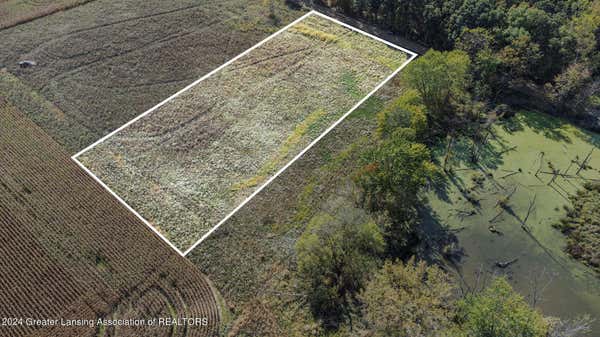 0 LAINGSBURG ROAD, LAINGSBURG, MI 48848 - Image 1