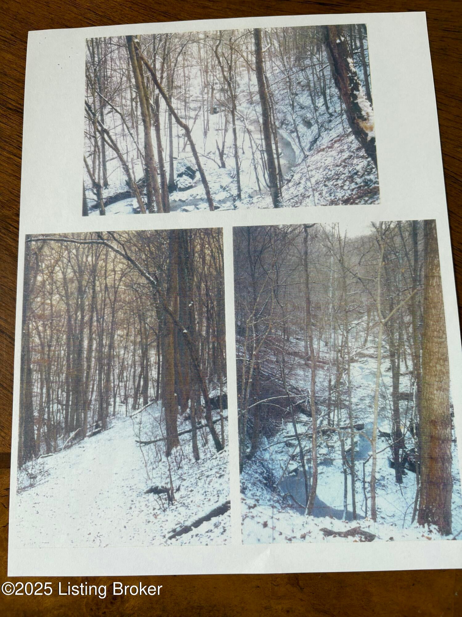 Prospect, Kentucky, 40059, United States, ,5 BathroomsBathrooms,Residential,Active,1849523