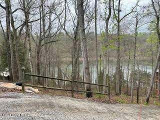 LOT 81 PENN RUN RD, BEE SPRINGS, KY 42207 - Image 1