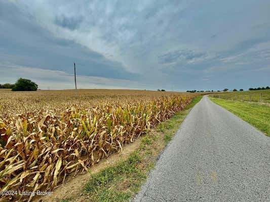 TRACT 3 FROMAN LN, LEBANON, KY 40033 - Image 1