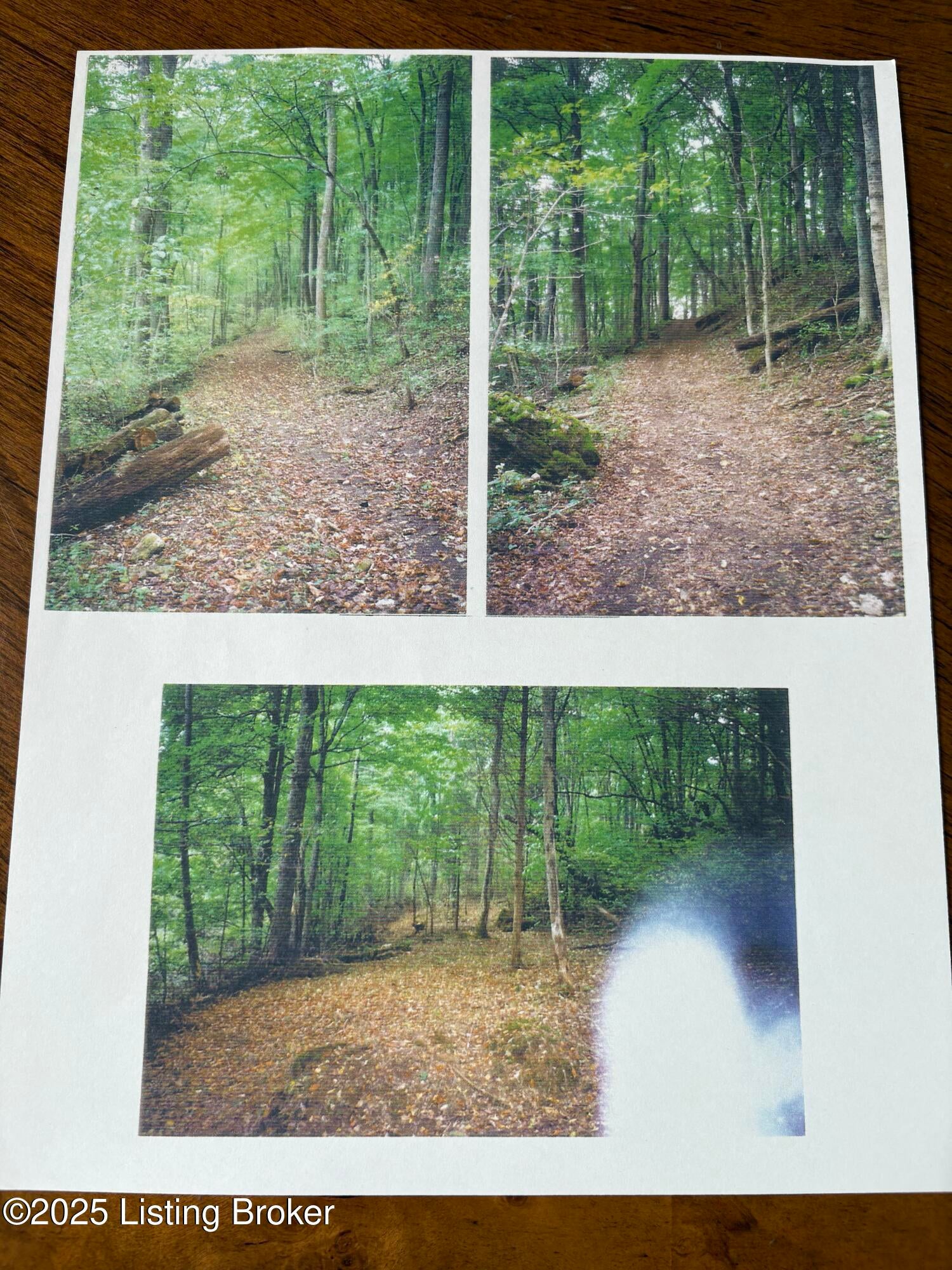 Prospect, Kentucky, 40059, United States, ,5 BathroomsBathrooms,Residential,Active,1849523