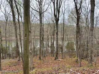 LOT 82 PENN RUN RD, BEE SPRINGS, KY 42207 - Image 1