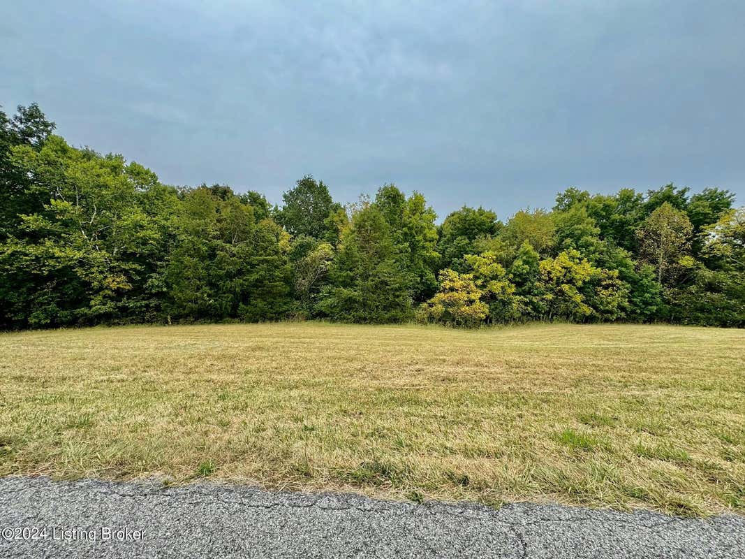 TRACT#3 HILLSBORO LN, SPRINGFIELD, KY 40069, photo 1 of 2