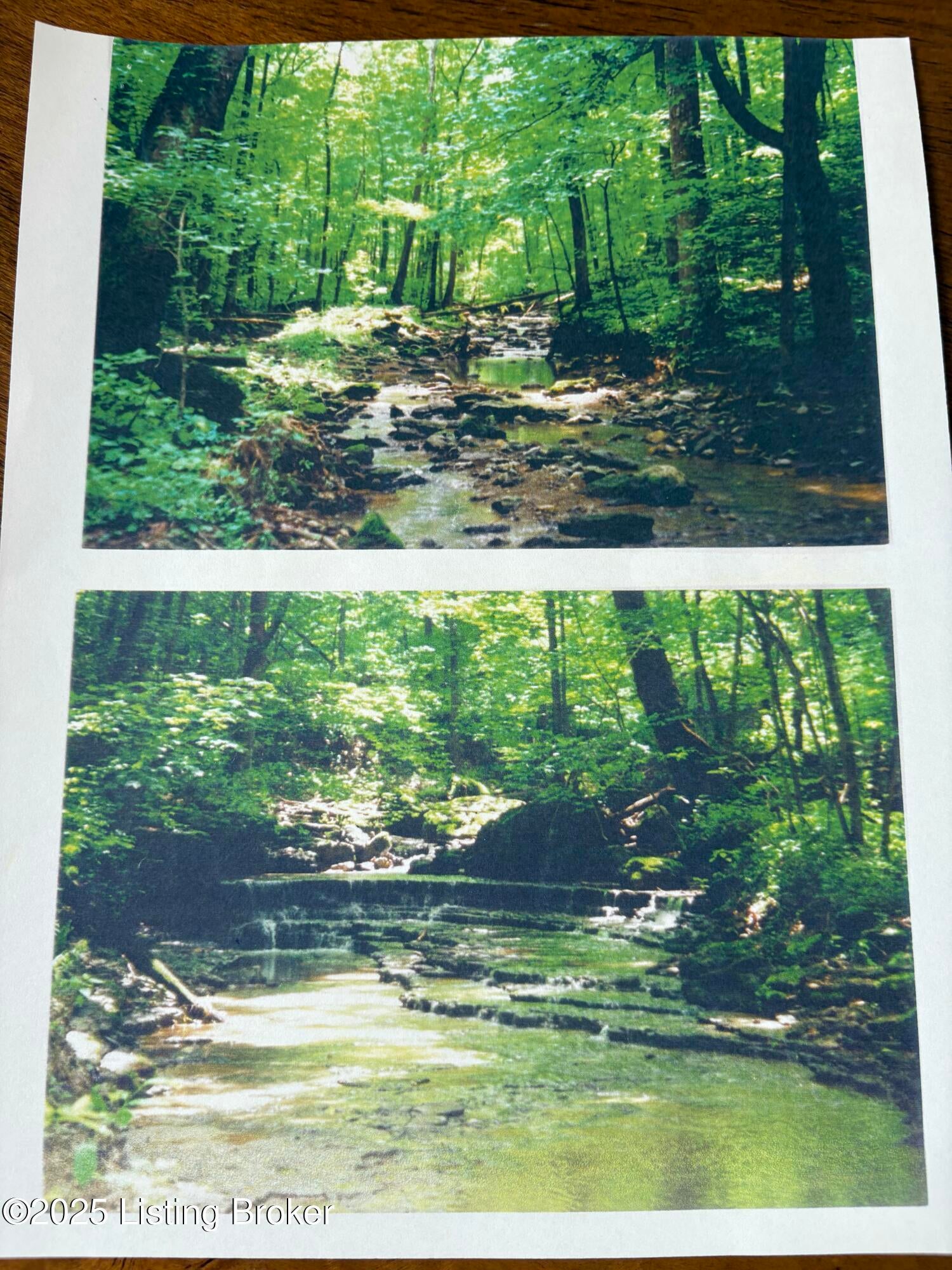 Prospect, Kentucky, 40059, United States, ,5 BathroomsBathrooms,Residential,Active,1849523