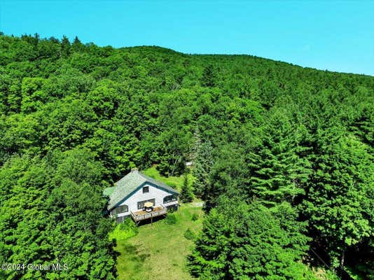 773 CHARLEY HILL RD, SCHROON LAKE, NY 12870 - Image 1