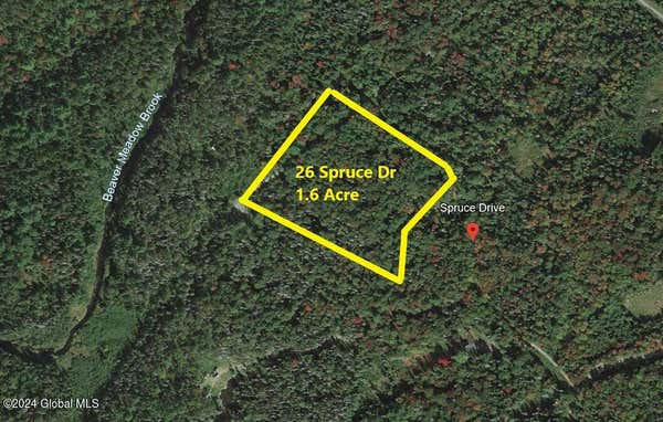 26 SPRUCE DRIVE, INDIAN LAKE, NY 12842 - Image 1