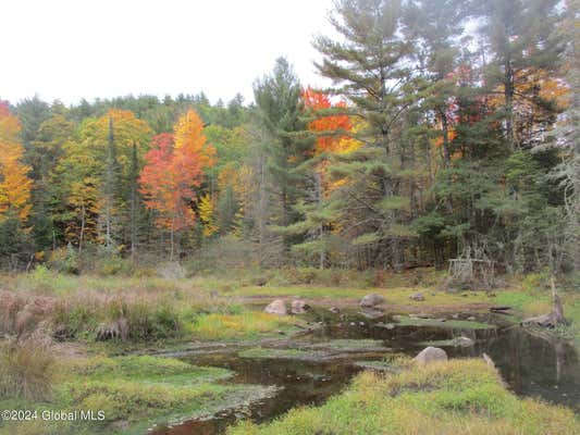 358 BUCK HILL RD, AU SABLE FORKS, NY 12912 - Image 1