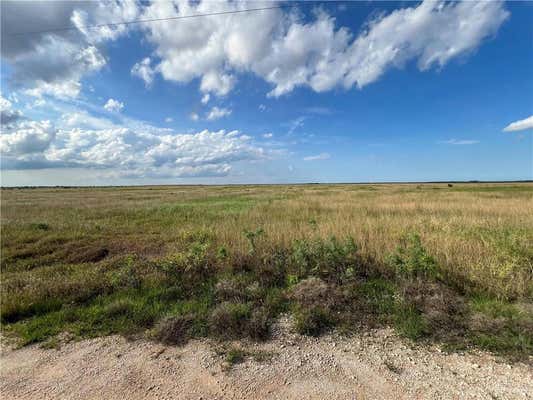 000 JARITAS ROAD, MONTE ALTO, TX 78538 - Image 1