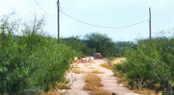 3525 S RIVER RD, DONNA, TX 78537, photo 3 of 6