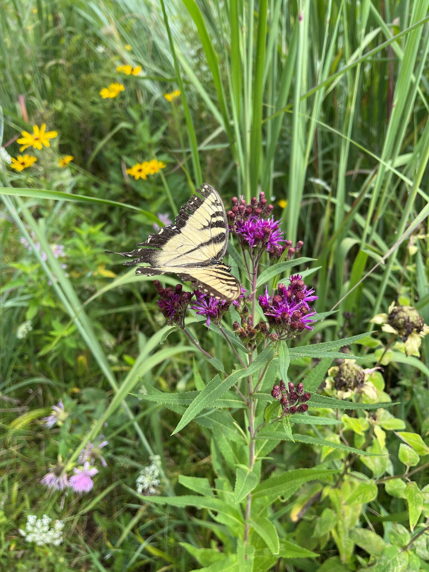 Valparaiso, Indiana, 46385, United States, ,4 BathroomsBathrooms,Residential,Active,1781853