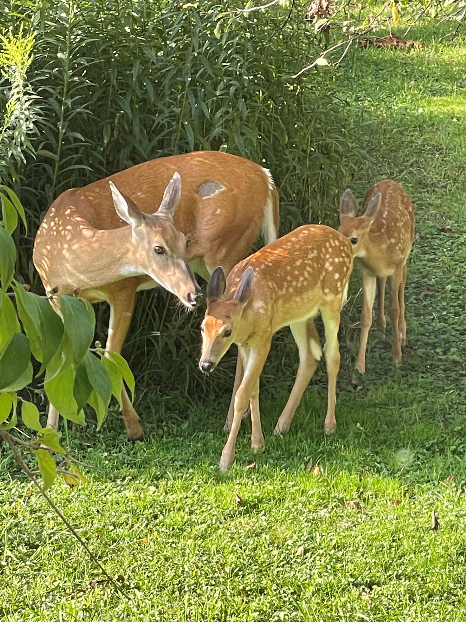 Valparaiso, Indiana, 46385, United States, ,4 BathroomsBathrooms,Residential,Active,1781853