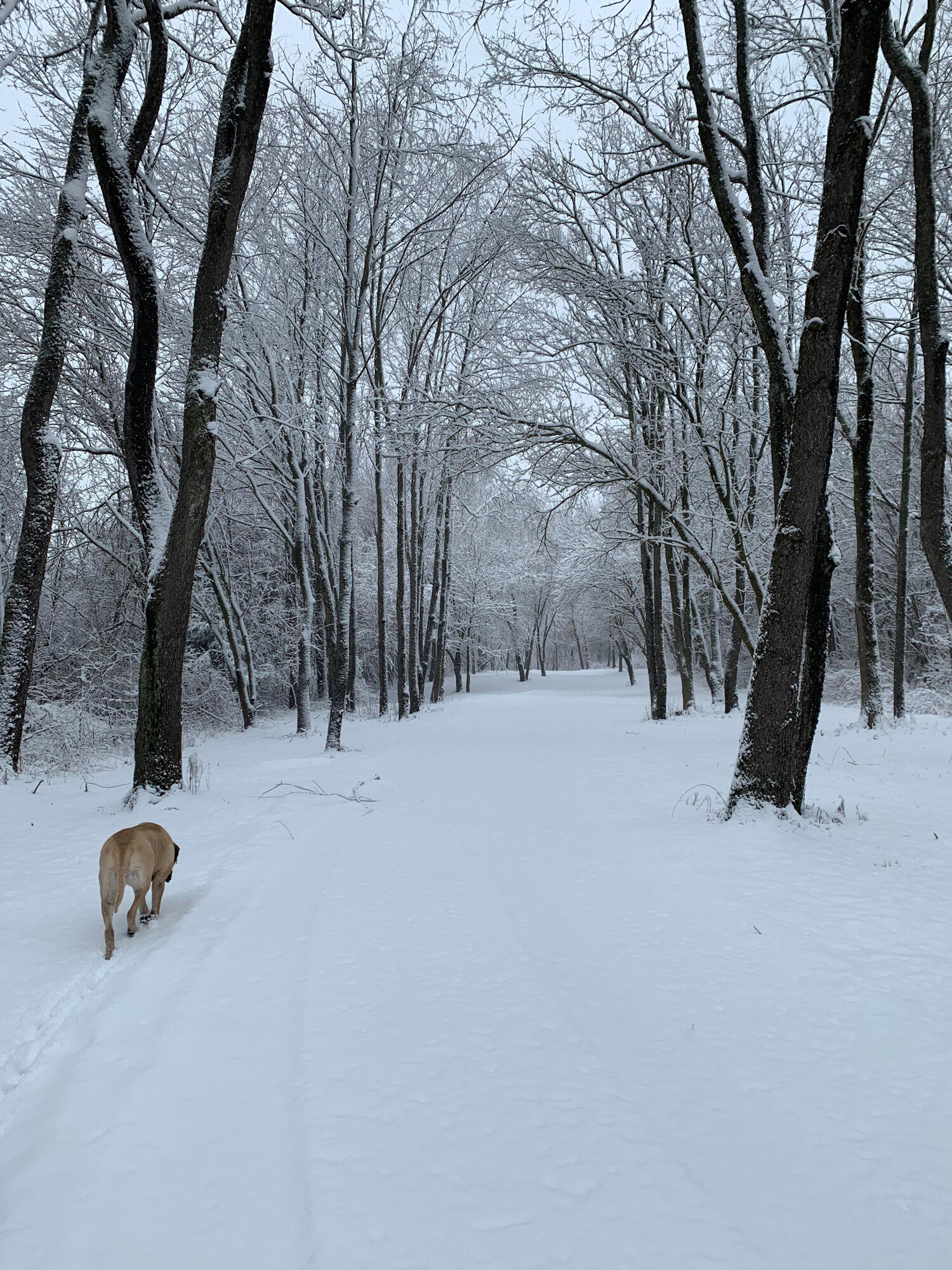 Valparaiso, Indiana, 46385, United States, ,4 BathroomsBathrooms,Residential,Active,1781853