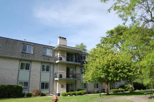 1725 HOMAN DR APT 203, SCHERERVILLE, IN 46375 - Image 1