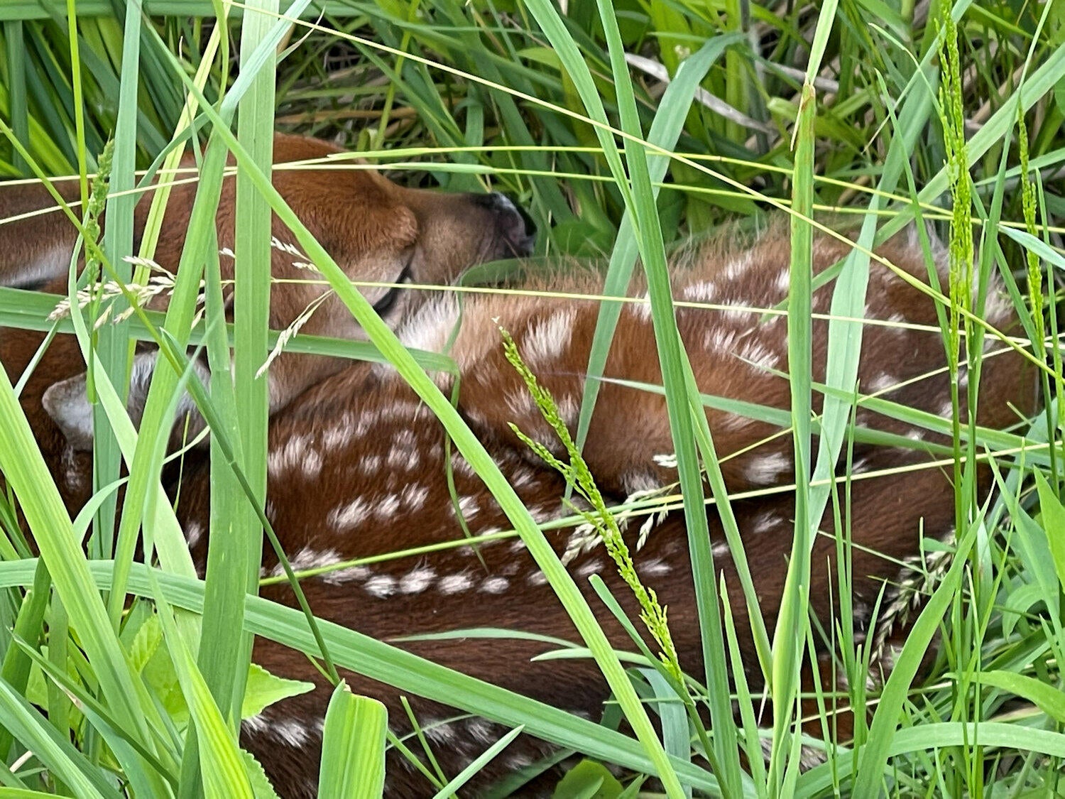 Valparaiso, Indiana, 46385, United States, ,4 BathroomsBathrooms,Residential,Active,1781853