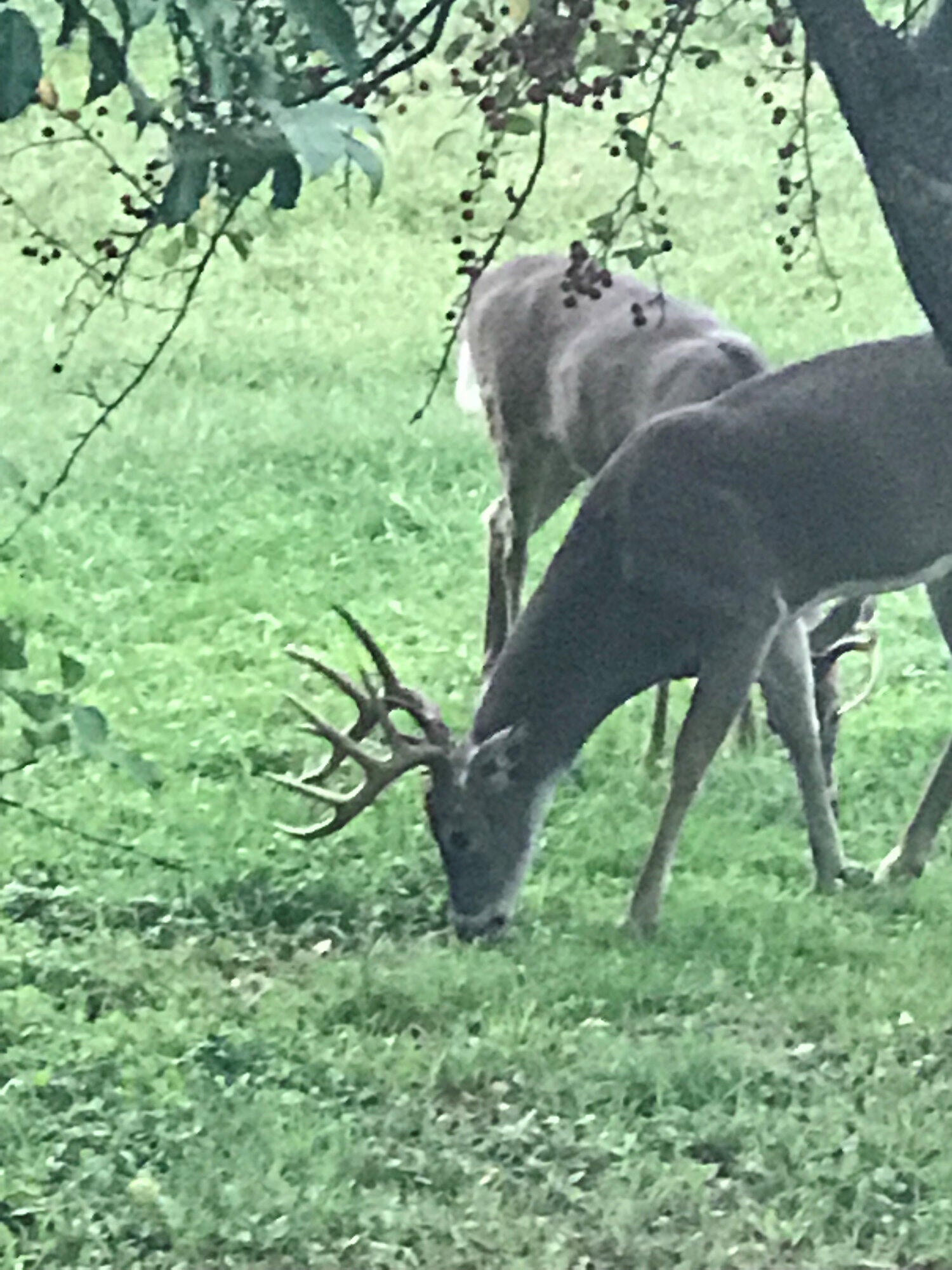 Valparaiso, Indiana, 46385, United States, ,4 BathroomsBathrooms,Residential,Active,1781853