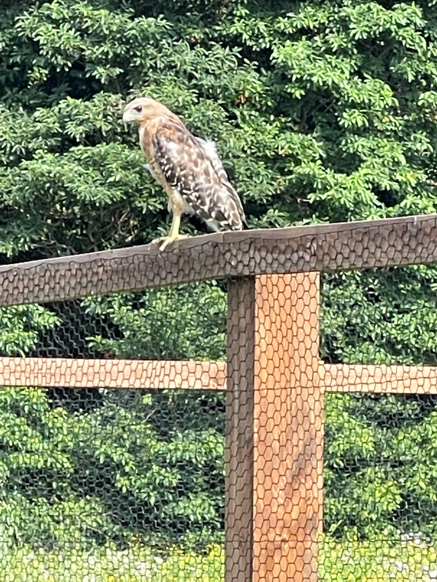 Valparaiso, Indiana, 46385, United States, ,4 BathroomsBathrooms,Residential,Active,1781853