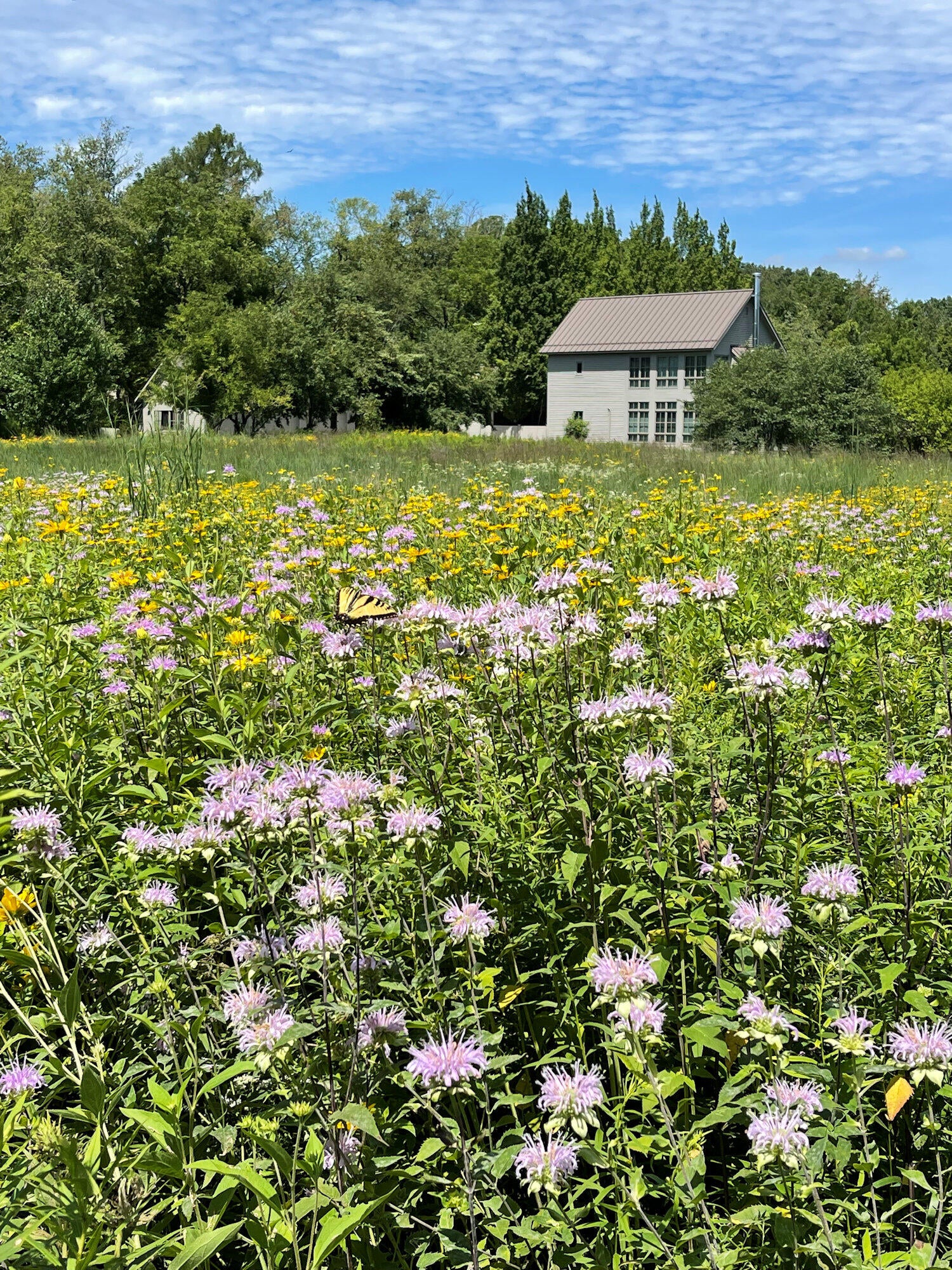 Valparaiso, Indiana, 46385, United States, ,4 BathroomsBathrooms,Residential,Active,1781853