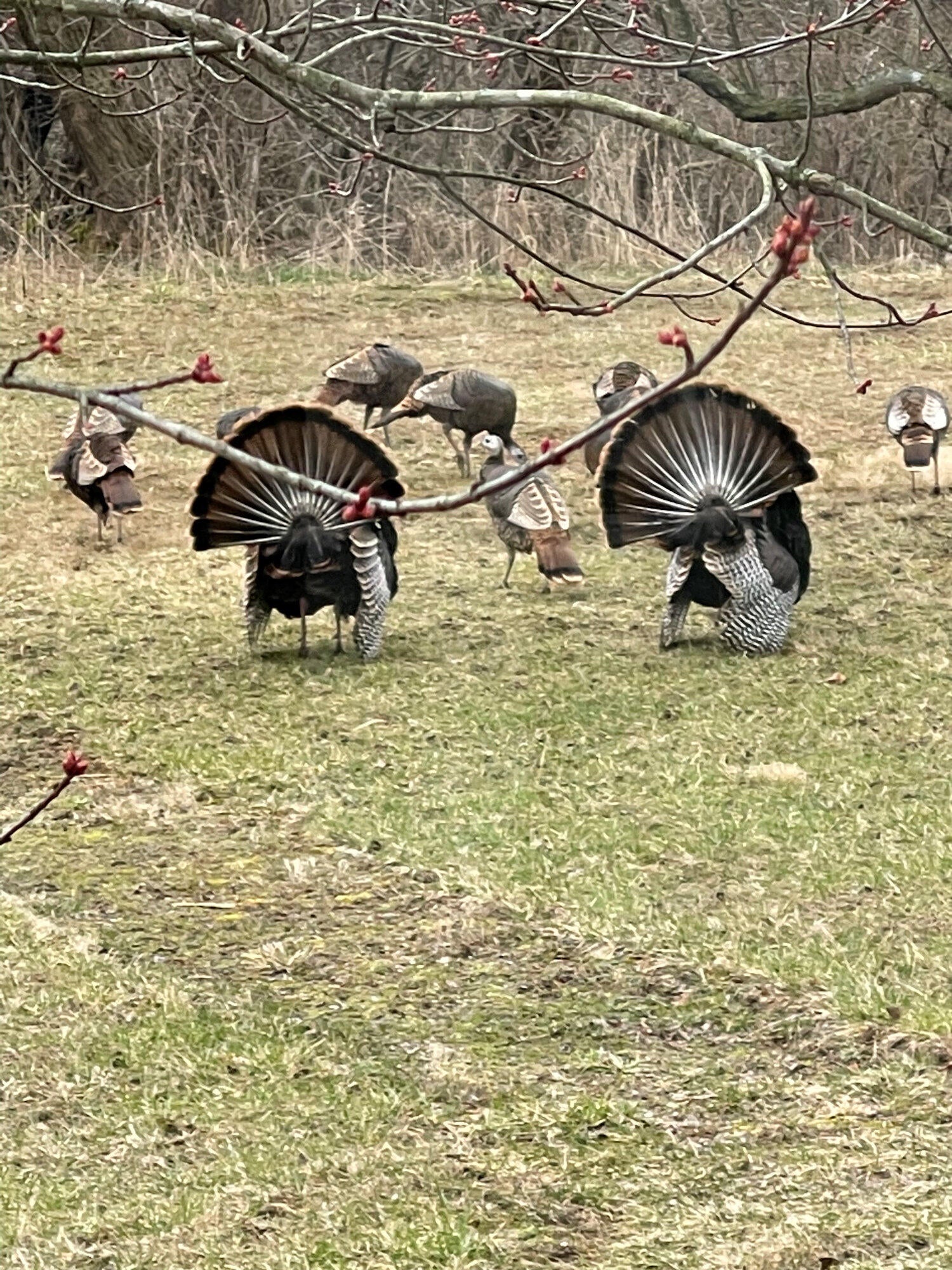 Valparaiso, Indiana, 46385, United States, ,4 BathroomsBathrooms,Residential,Active,1781853